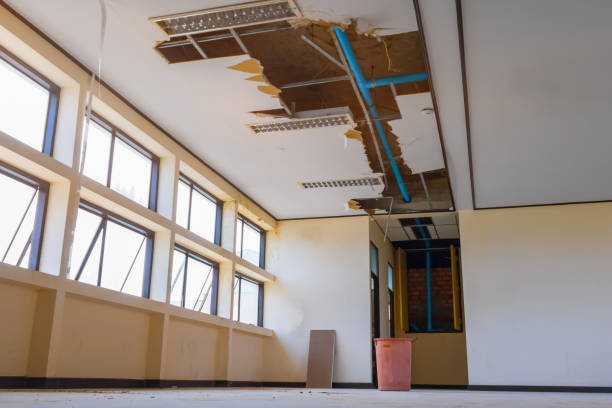 Best Mold removal after water damage  in Portland, TN
