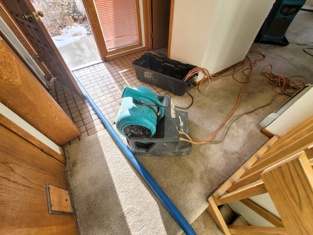 Best Mold removal after water damage  in Portland, TN
