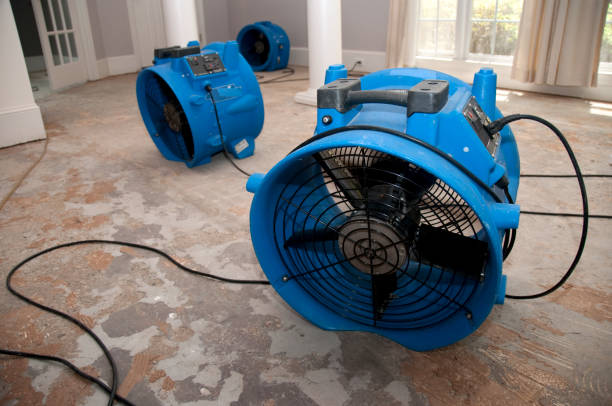 Best Carpet water damage restoration  in Portland, TN