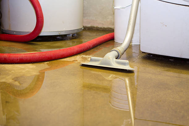 Water damage restoration process in TN
