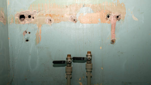 Best 24-hour water damage restoration  in Portland, TN