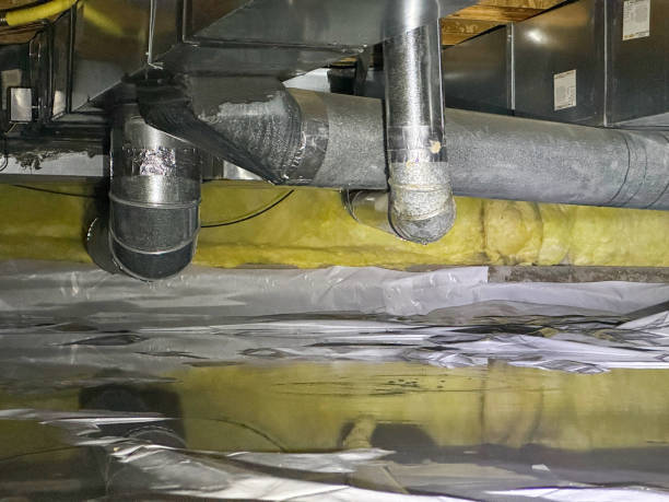 Best Ceiling water damage repair  in Portland, TN