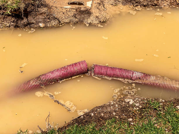 Best Water damage mitigation services  in Portland, TN