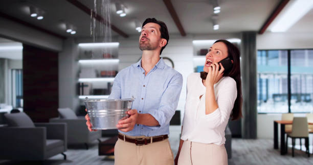 Best Water damage cleanup near me  in Portland, TN