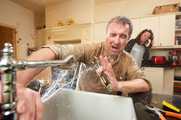 Best Water damage restoration near me  in Portland, TN